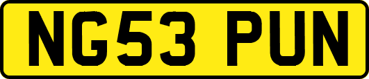 NG53PUN