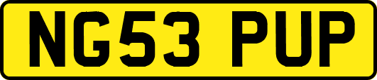 NG53PUP