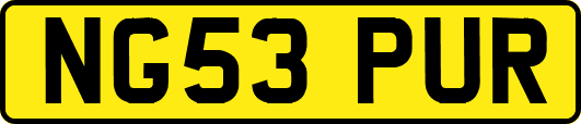 NG53PUR