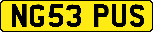 NG53PUS