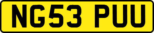 NG53PUU