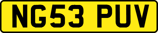 NG53PUV
