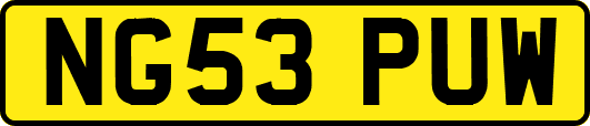 NG53PUW