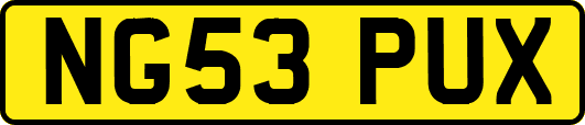 NG53PUX