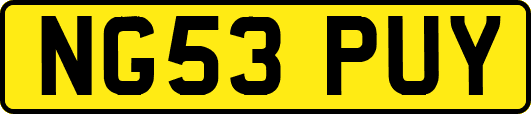 NG53PUY