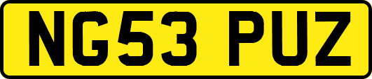 NG53PUZ