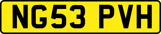 NG53PVH
