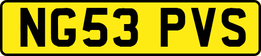 NG53PVS