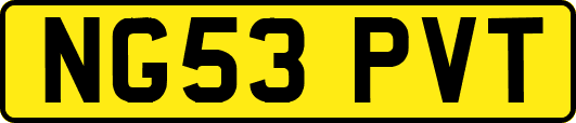 NG53PVT