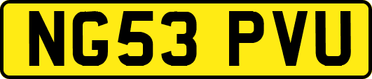 NG53PVU
