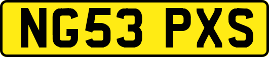 NG53PXS