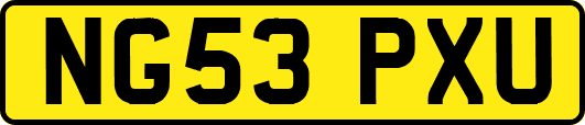 NG53PXU