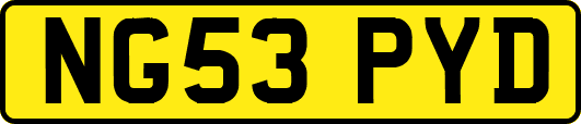 NG53PYD