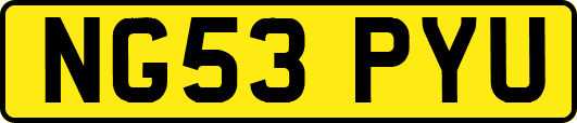 NG53PYU