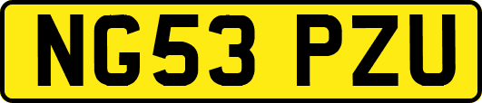 NG53PZU