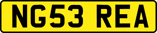 NG53REA