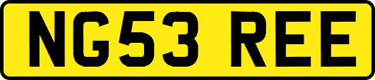 NG53REE