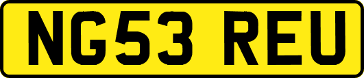 NG53REU