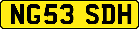 NG53SDH