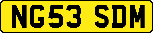 NG53SDM