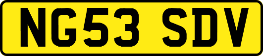 NG53SDV