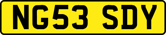 NG53SDY