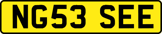 NG53SEE