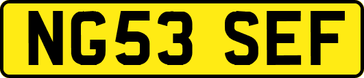 NG53SEF