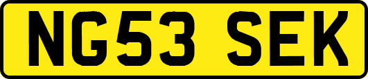 NG53SEK