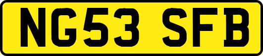 NG53SFB