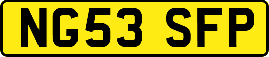 NG53SFP