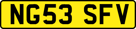 NG53SFV