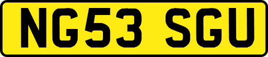 NG53SGU