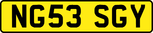 NG53SGY