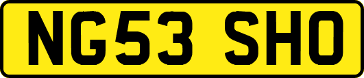 NG53SHO