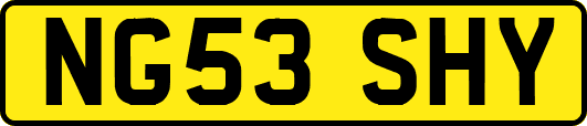 NG53SHY