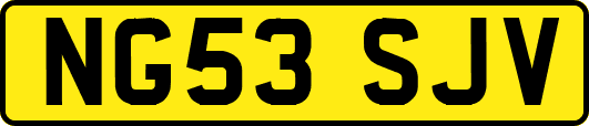 NG53SJV