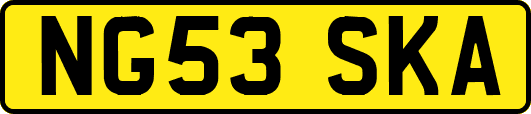NG53SKA