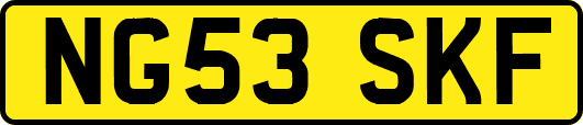 NG53SKF