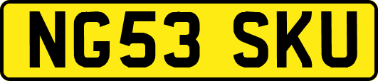 NG53SKU