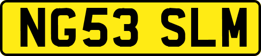 NG53SLM