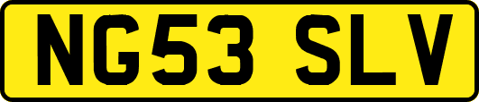 NG53SLV