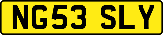 NG53SLY
