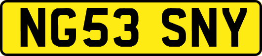 NG53SNY