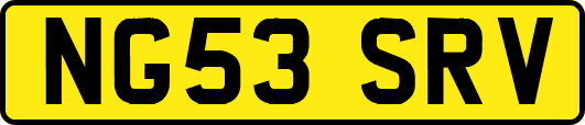 NG53SRV