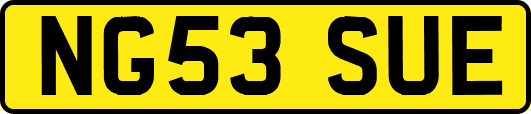 NG53SUE
