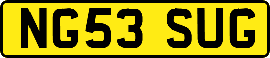 NG53SUG