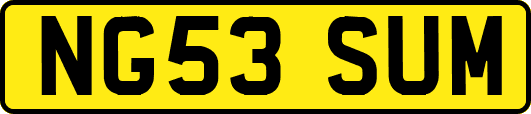 NG53SUM