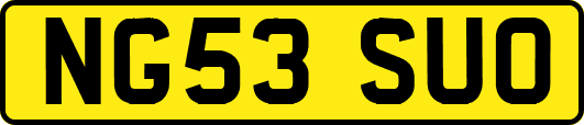NG53SUO