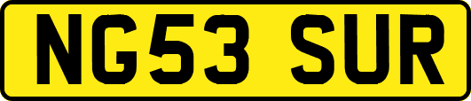 NG53SUR